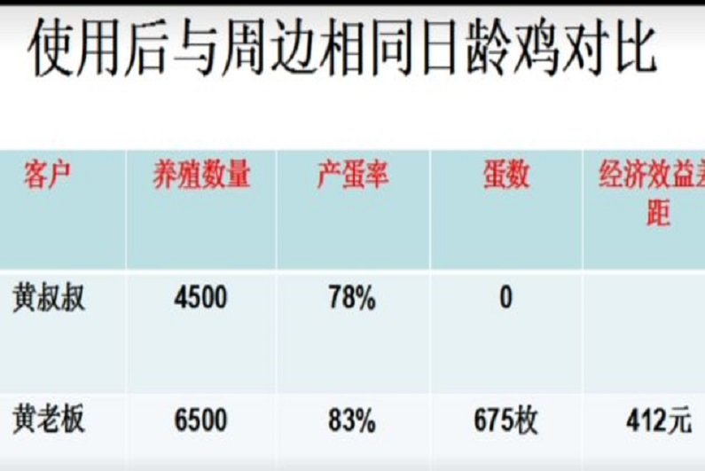 山东省x市蛋鸡养殖场见证实录